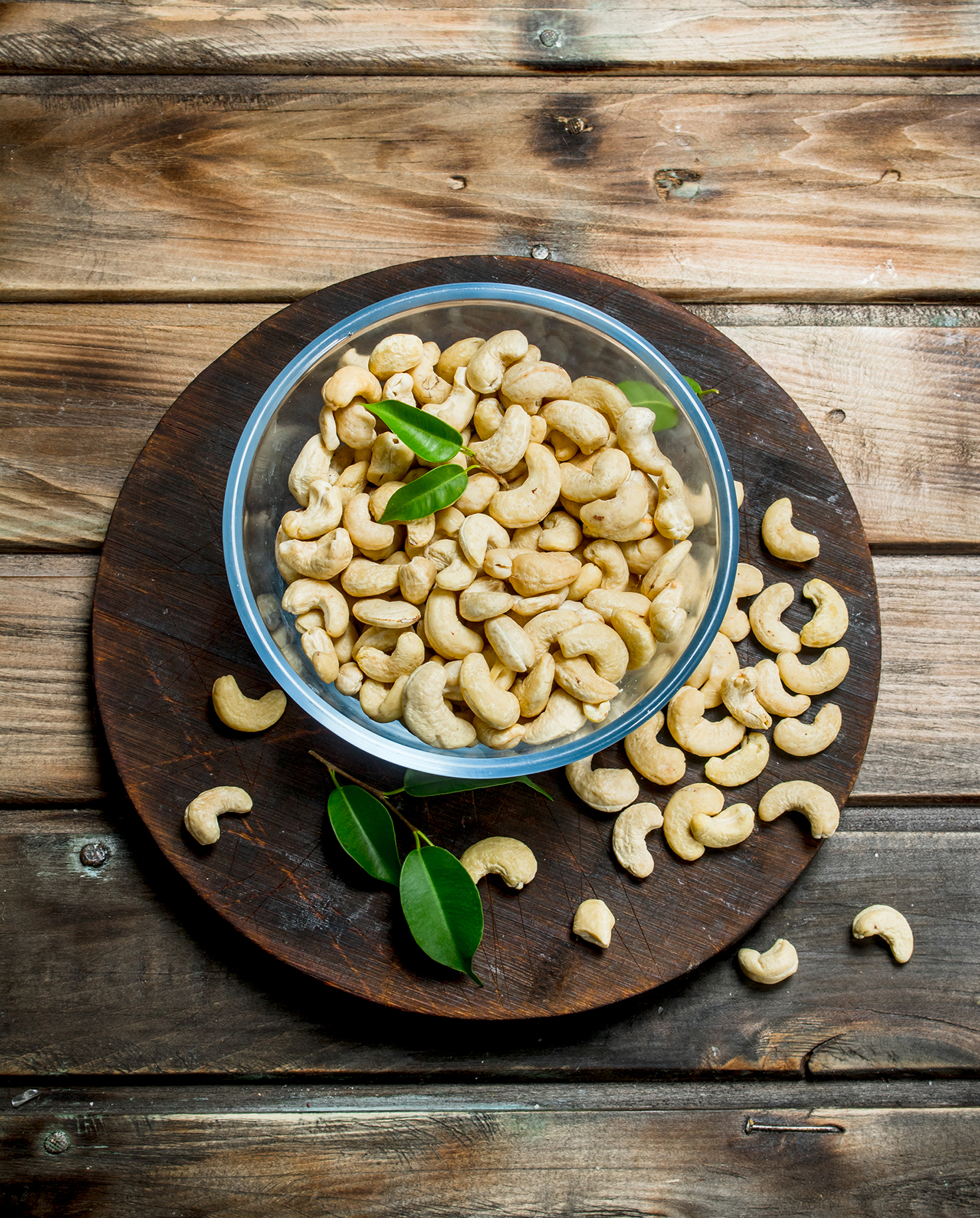 Sayad Trading Company: Your Trusted Partner for Cashew Nuts in Côte d’Ivoire